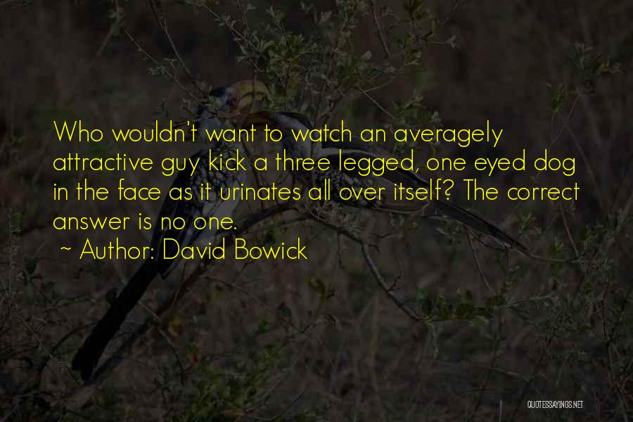 Attractive Face Quotes By David Bowick