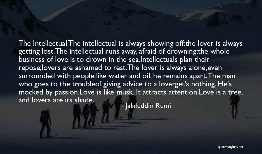 Attracts Attention Quotes By Jalaluddin Rumi Attracts Attention Quotes By Jalaluddin Rumi