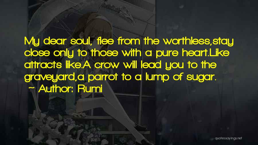 Attracts Quotes By Rumi