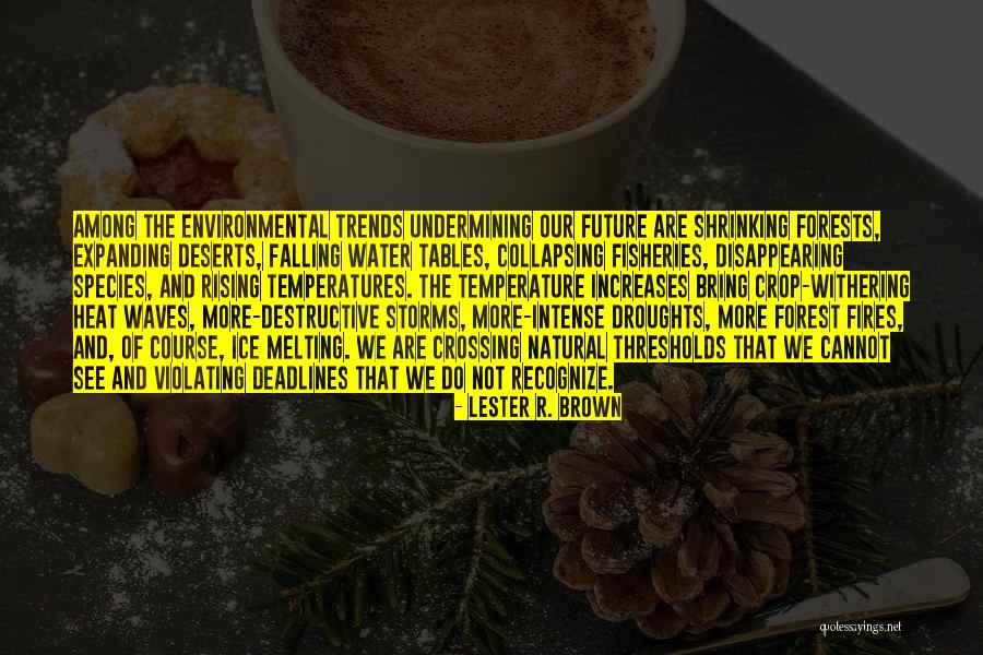 Attrezzi Palestra Quotes By Lester R. Brown Attrezzi Palestra Quotes By Lester R. Brown
