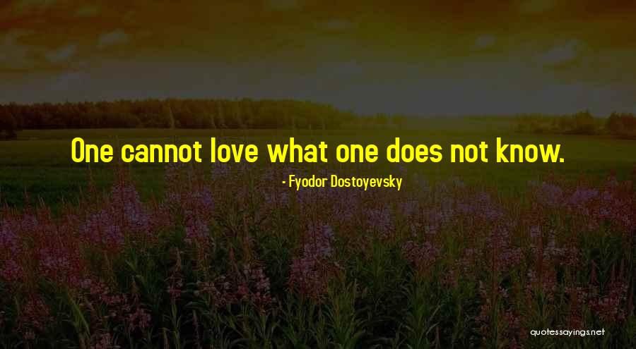 Attributional Tendencies Quotes By Fyodor Dostoyevsky Attributional Tendencies Quotes By Fyodor Dostoyevsky