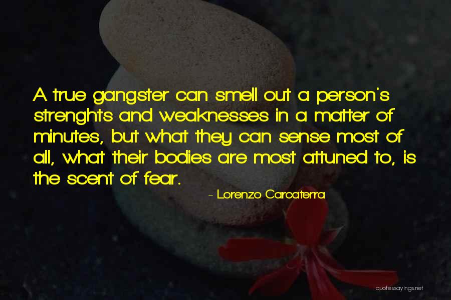 Attuned Quotes By Lorenzo Carcaterra