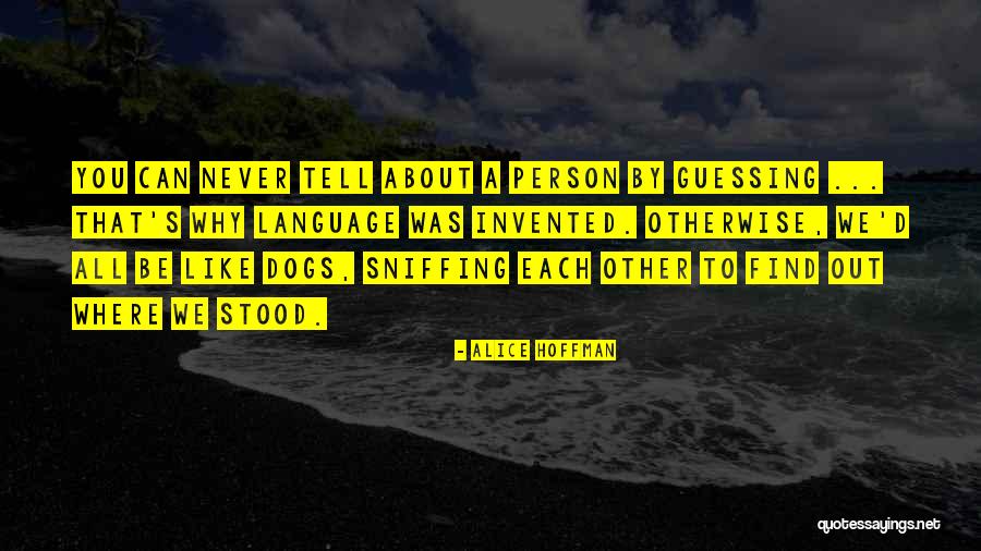 Aubane Droguet Quotes By Alice Hoffman Aubane Droguet Quotes By Alice Hoffman