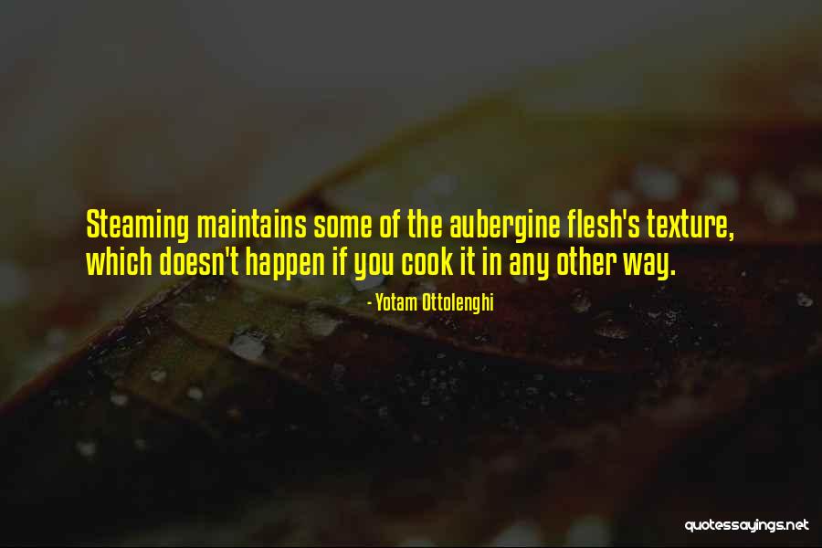 Aubergine Quotes By Yotam Ottolenghi Aubergine Quotes By Yotam Ottolenghi
