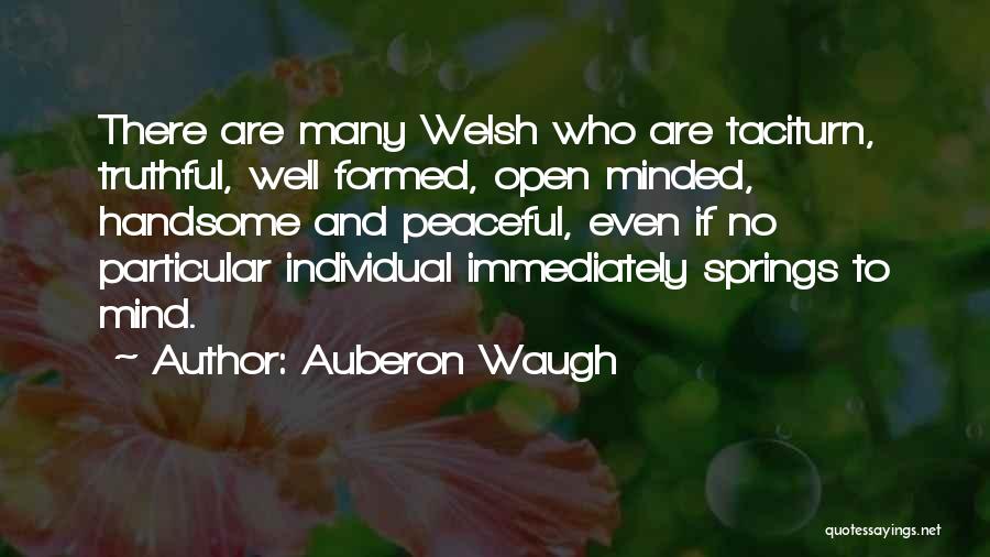 Auberon Waugh Quotes 709408