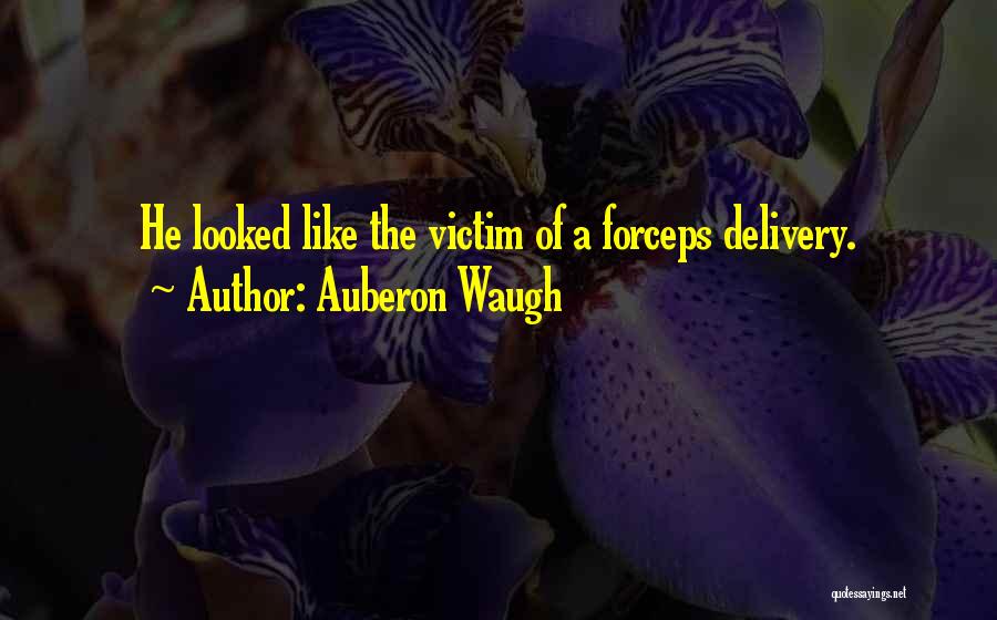 Auberon Waugh Quotes 750571