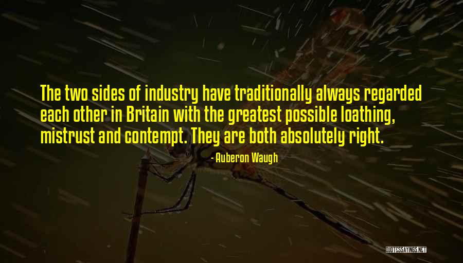 Auberon Waugh Quotes 769557 Auberon Waugh Quotes 769557