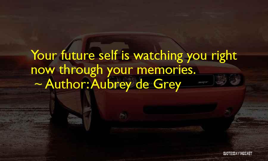 Aubrey De Grey Quotes 2250236