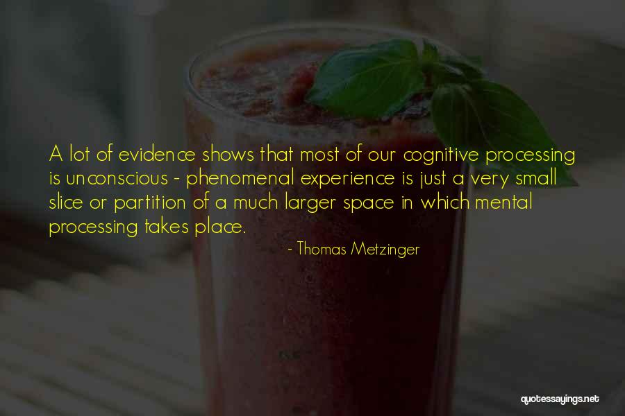 Audacieux Singular Quotes By Thomas Metzinger Audacieux Singular Quotes By Thomas Metzinger
