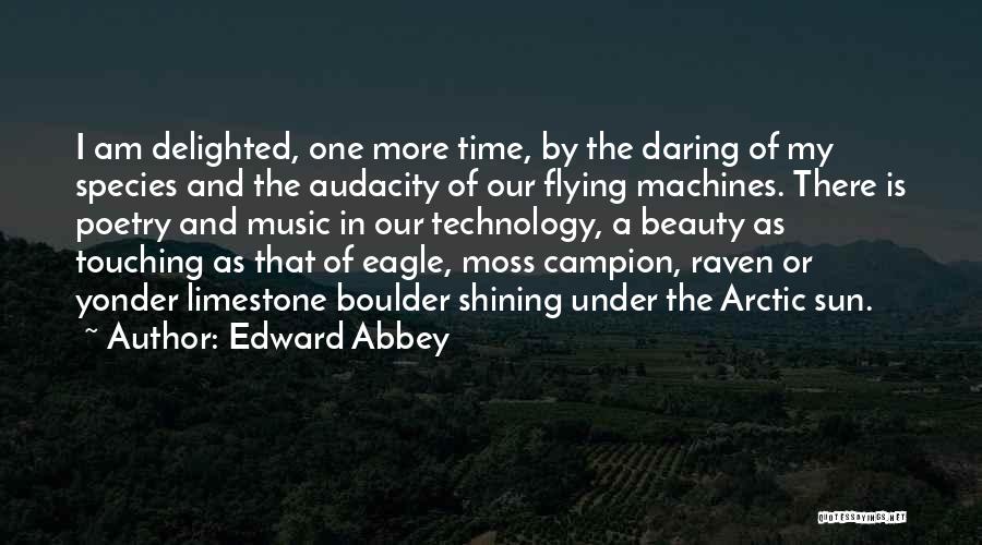 Audacity Quotes By Edward Abbey