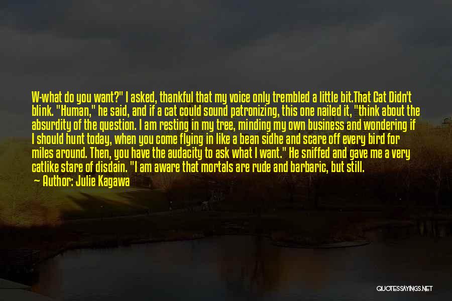 Audacity Quotes By Julie Kagawa Audacity Quotes By Julie Kagawa