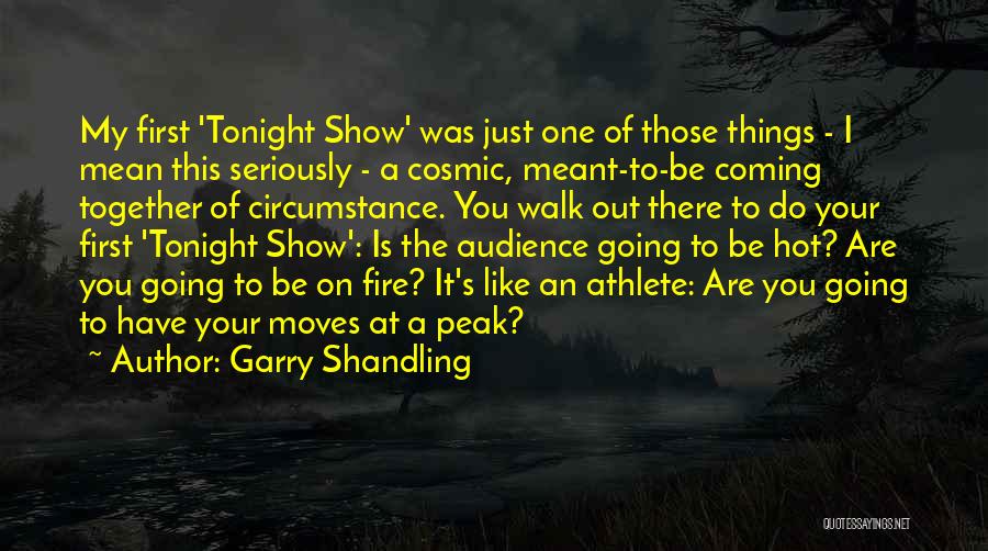 Audience First Quotes By Garry Shandling