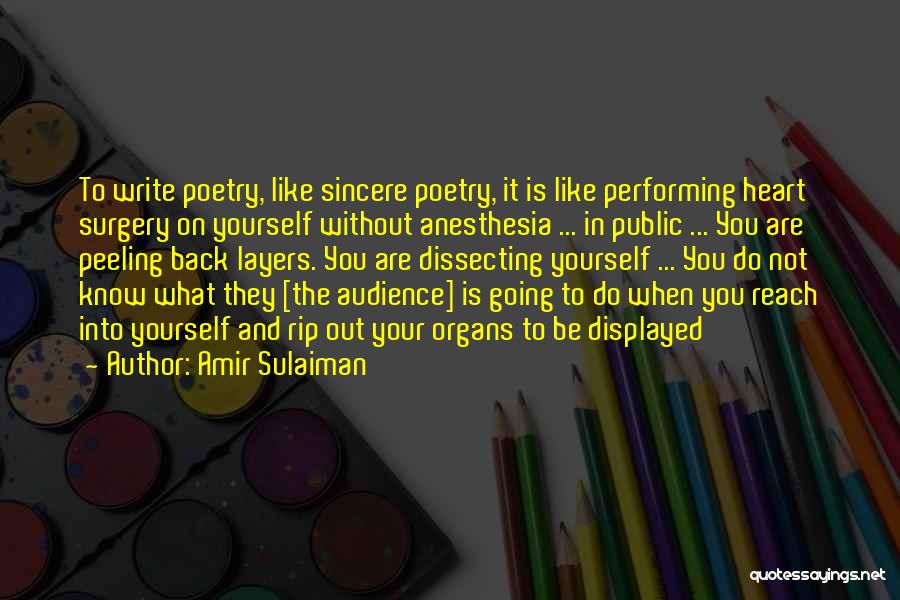 Audience In Writing Quotes By Amir Sulaiman