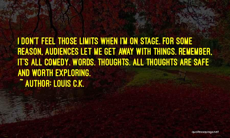 Audiences Quotes By Louis C.K.