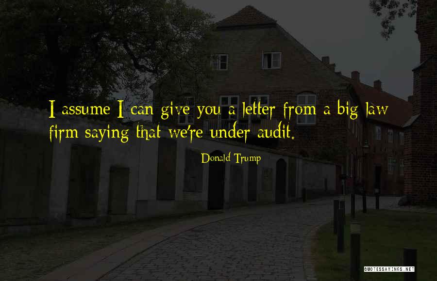 Audit Quotes By Donald Trump