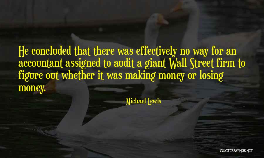 Audit Quotes By Michael Lewis