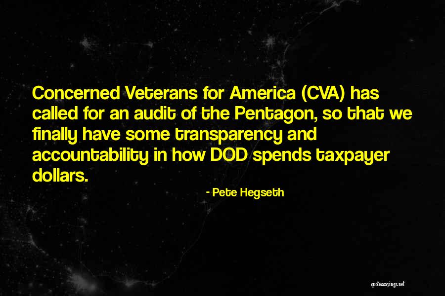 Audit Quotes By Pete Hegseth