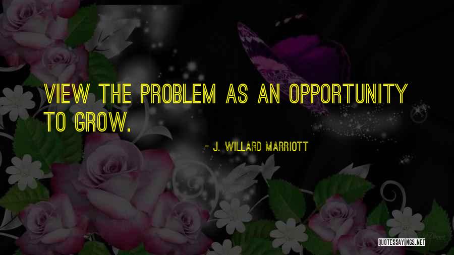 Auditores Internos Quotes By J. Willard Marriott Auditores Internos Quotes By J. Willard Marriott
