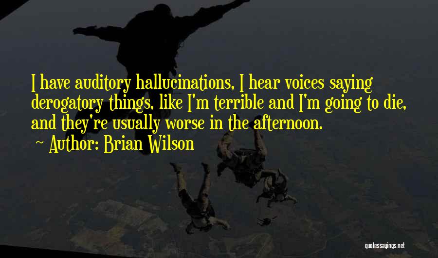 Auditory Hallucinations Quotes By Brian Wilson