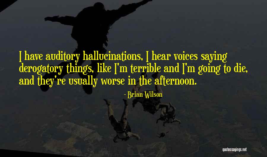 Auditory Hallucinations Quotes By Brian Wilson