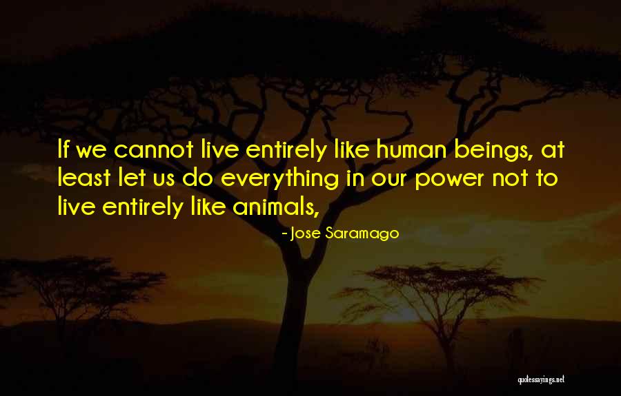 Audrae Stephen Quotes By Jose Saramago Audrae Stephen Quotes By Jose Saramago