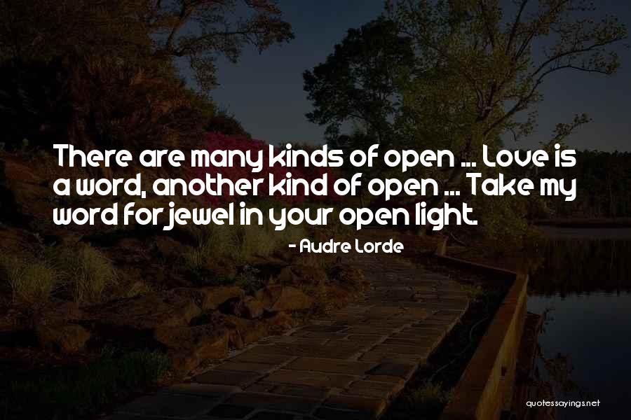 Audre Lorde Quotes 1459355 Audre Lorde Quotes 1459355