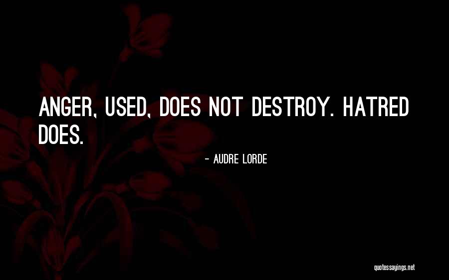 Audre Lorde Quotes 2178231