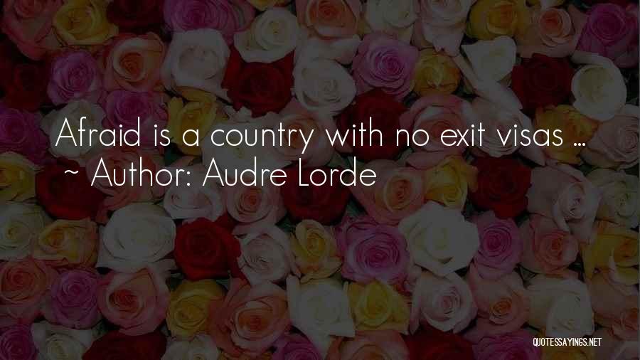Audre Lorde Quotes 228081