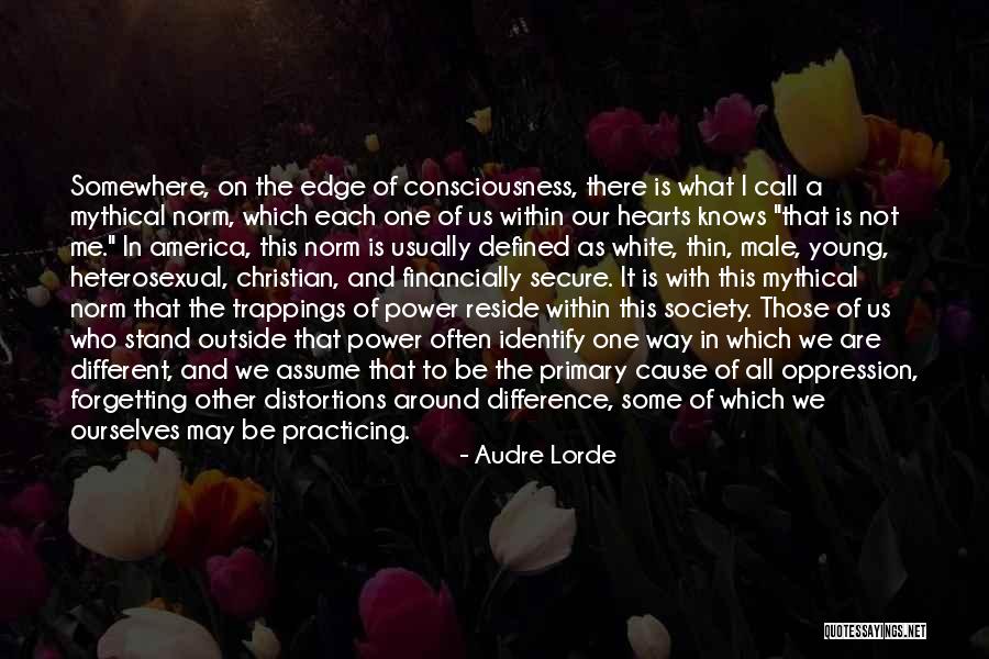Audre Lorde Quotes 352797 Audre Lorde Quotes 352797