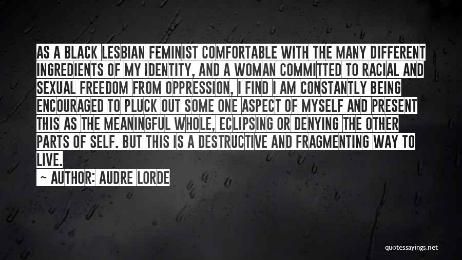 Audre Lorde Quotes 368483