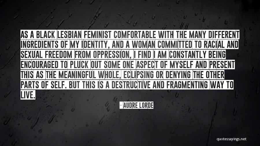 Audre Lorde Quotes 368483 Audre Lorde Quotes 368483