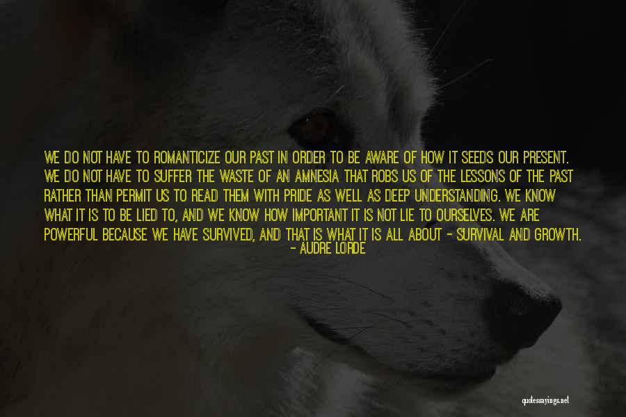Audre Lorde Quotes 571026 Audre Lorde Quotes 571026