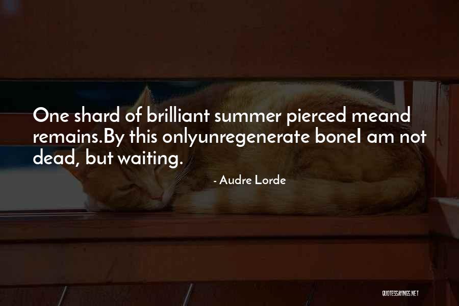 Audre Lorde Quotes 861251 Audre Lorde Quotes 861251