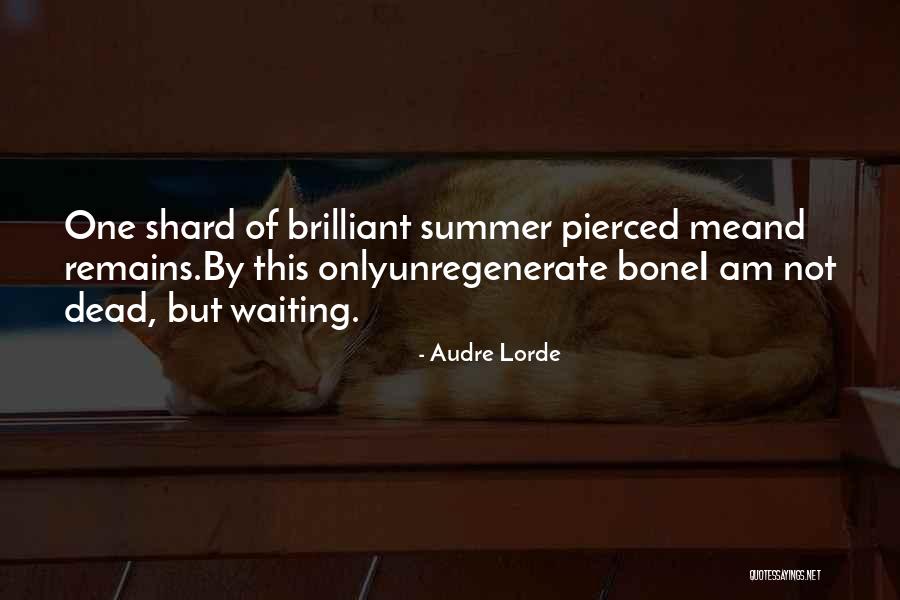 Audre Lorde Quotes 861251