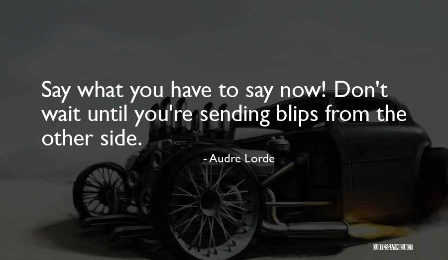 Audre Lorde Quotes 960251 Audre Lorde Quotes 960251