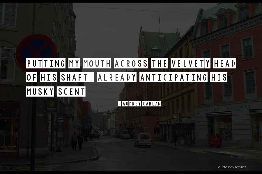 Audrey Carlan Quotes 1007567 Audrey Carlan Quotes 1007567