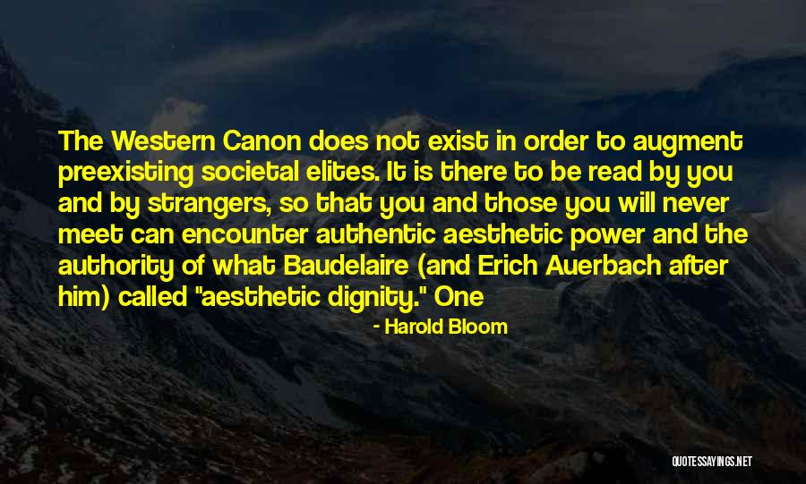 Auerbach Quotes By Harold Bloom Auerbach Quotes By Harold Bloom