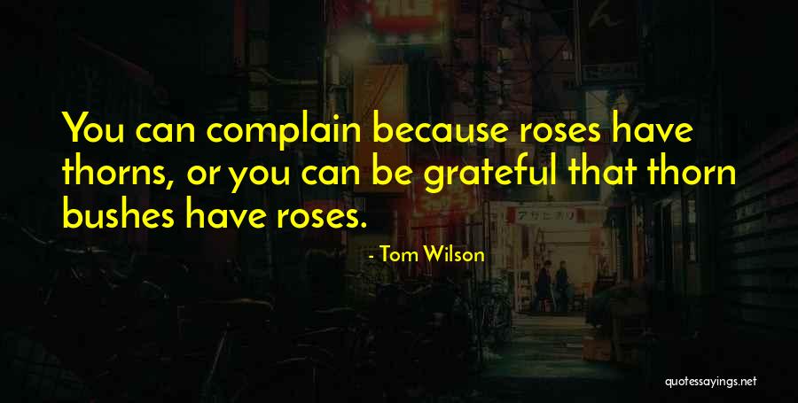 Aufeinander Folgend Quotes By Tom Wilson Aufeinander Folgend Quotes By Tom Wilson