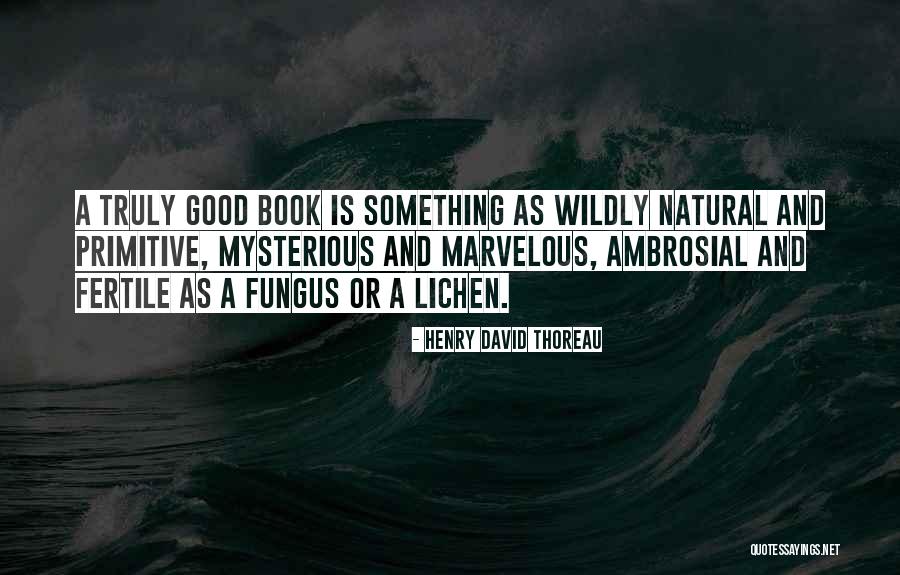 Auger Torque Usa Quotes By Henry David Thoreau Auger Torque Usa Quotes By Henry David Thoreau