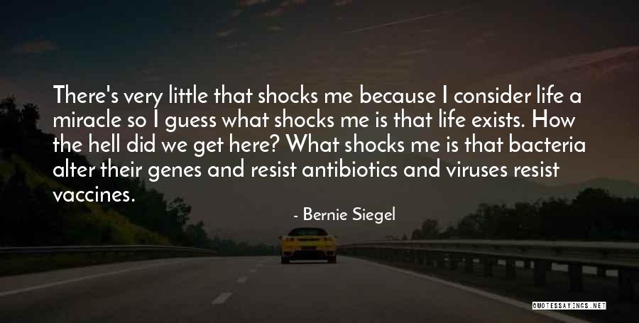 August Babies Quotes By Bernie Siegel August Babies Quotes By Bernie Siegel