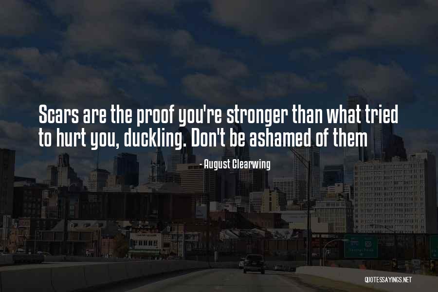 August Clearwing Quotes 1510003 August Clearwing Quotes 1510003