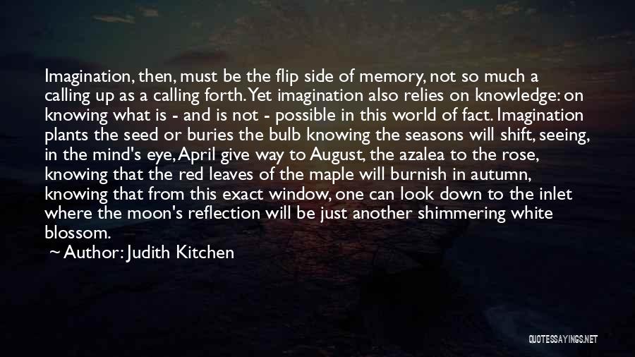 August Moon Quotes By Judith Kitchen