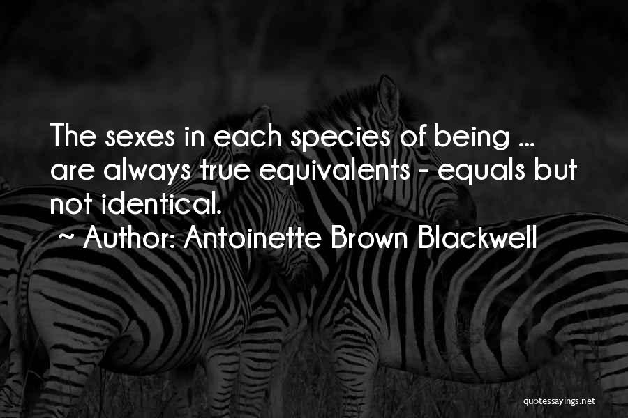Augusta Chiwy Quotes By Antoinette Brown Blackwell