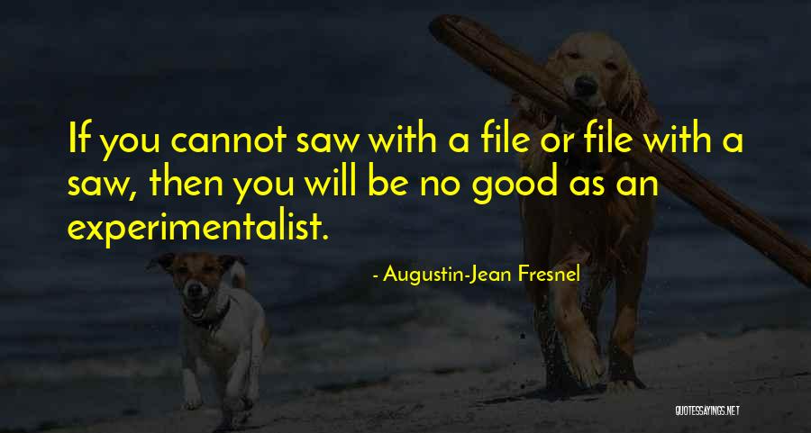 Augustin-Jean Fresnel Quotes 1241467