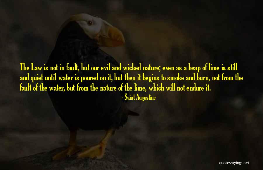 Augustine Evil Quotes By Saint Augustine Augustine Evil Quotes By Saint Augustine
