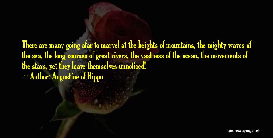 Augustine Of Hippo Quotes 220544