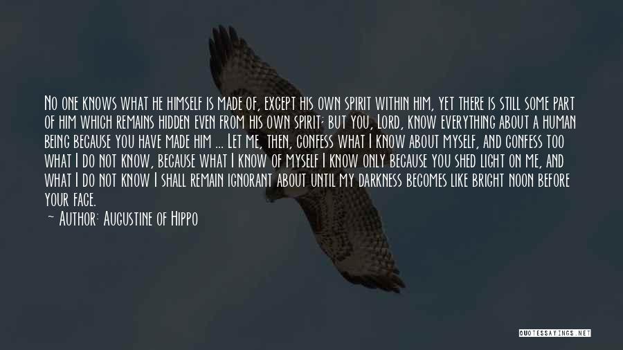 Augustine Of Hippo Quotes 294535