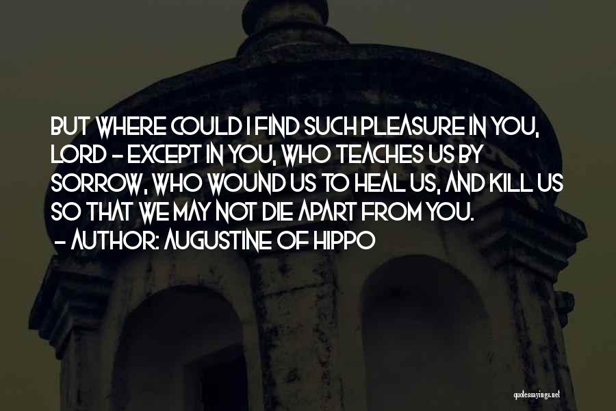 Augustine Of Hippo Quotes 583015