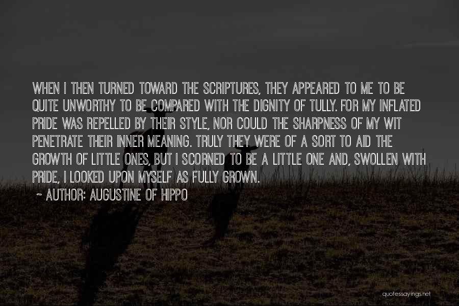 Augustine Of Hippo Quotes 992321