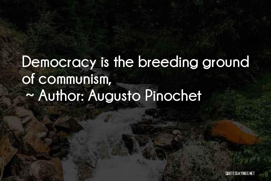 Augusto Pinochet Quotes 635288